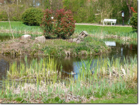 Ruheoase im Kurpark Dahme